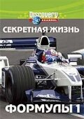 Discovery: Секретная жизнь Формулы I (2006) постер