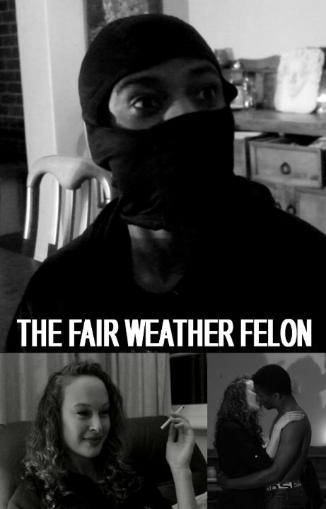 The Fair Weather Felon (2015) постер