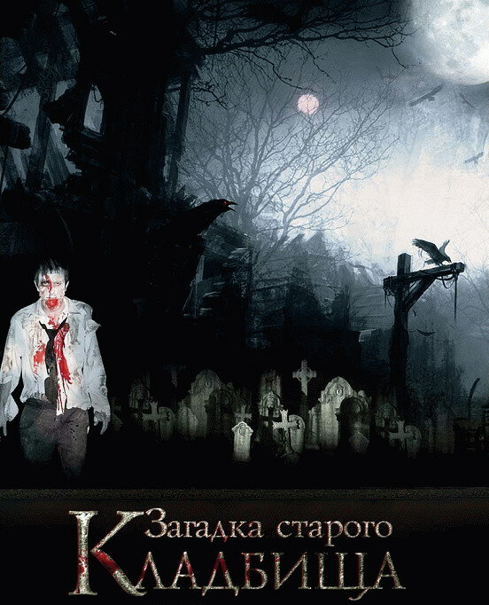 Загадка старого кладбища (2008) постер