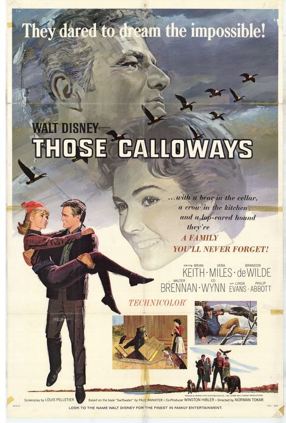 Ох, уж эти Кэллоуэйзы (1965) постер