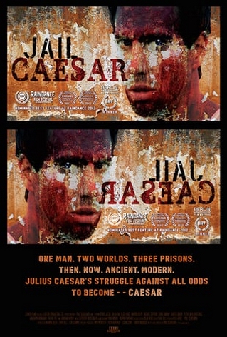 Код Цезаря (2012) постер