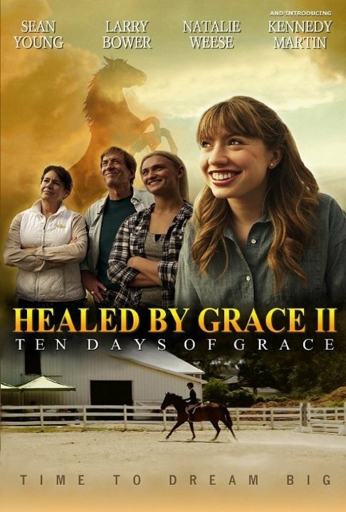 Healed by Grace 2 постер