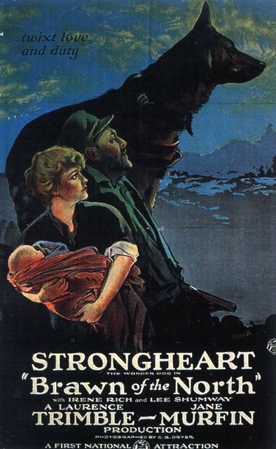 Браун с Севера (1922) постер