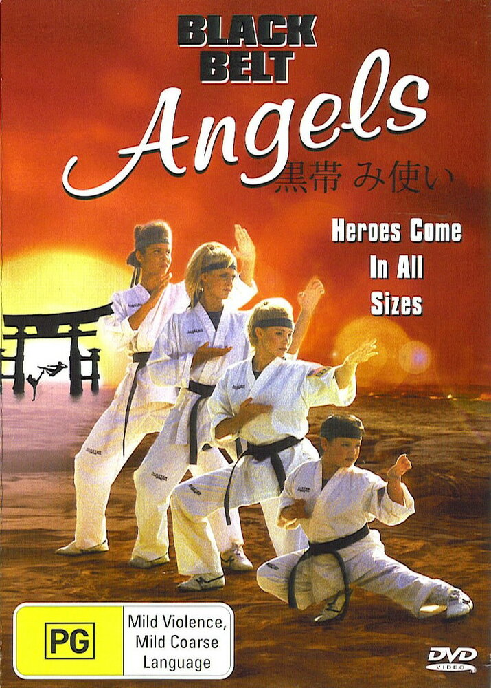 Ангелы с черными поясами (1994) постер